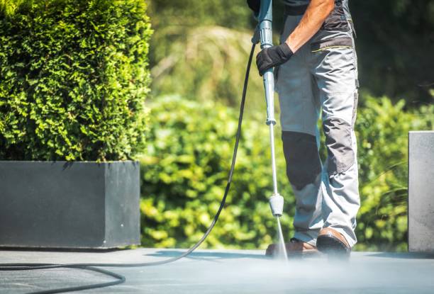 Best Sidewalk and Walkway Cleaning  in Bald Kno, AR