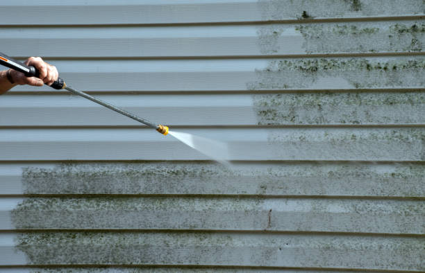 Best Fence Cleaning  in Bald Kno, AR