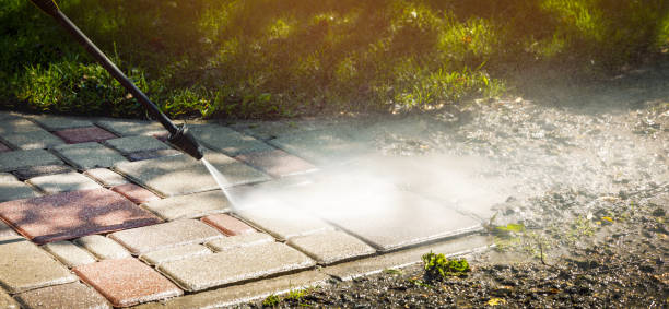 Best Oil Spill Cleanup  in Bald Kno, AR